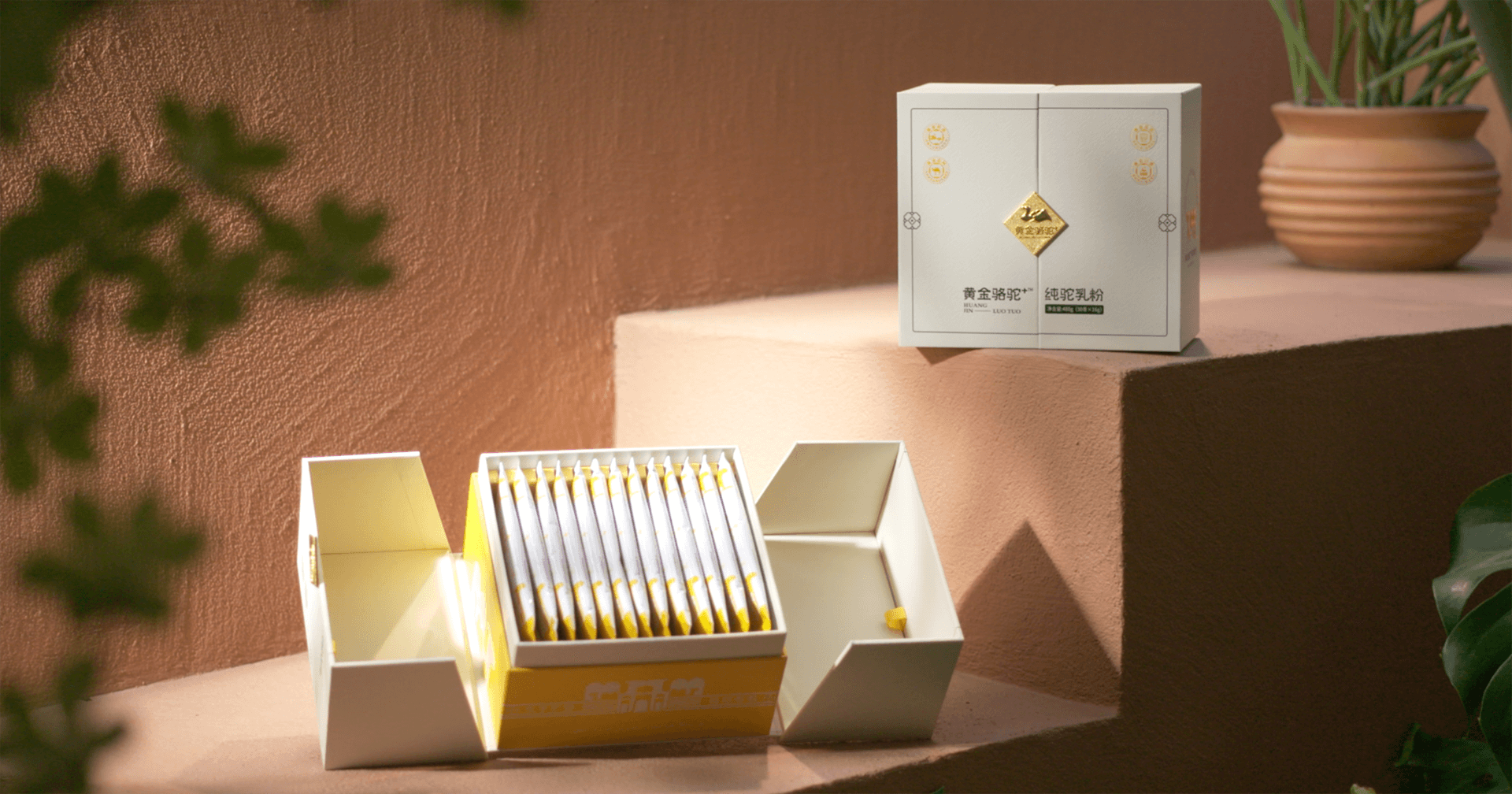 定位小众高端乳粉，龙8-long8推出驼奶品牌“黄金骆驼+”，角逐乳品新市场！
