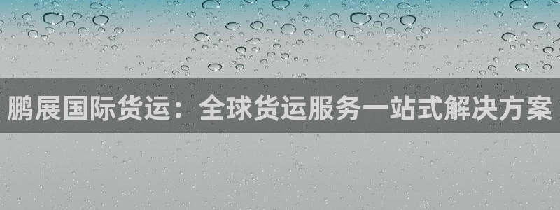 尊龙集团有限公司招聘：鹏展国际货运：全球货运服务一站式解