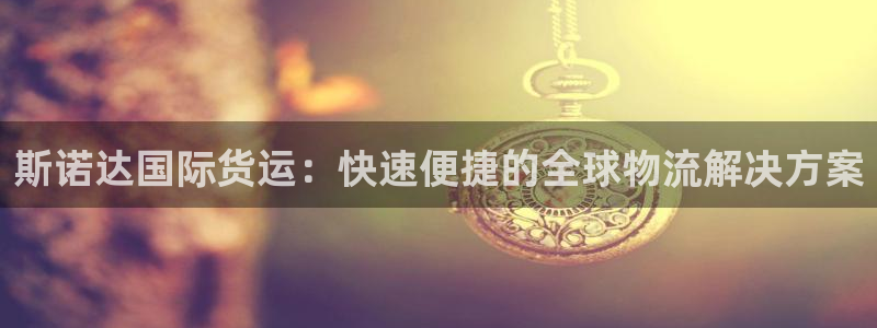 尊龙人生就是博d88官方网站：斯诺达国际货运：快速便捷的