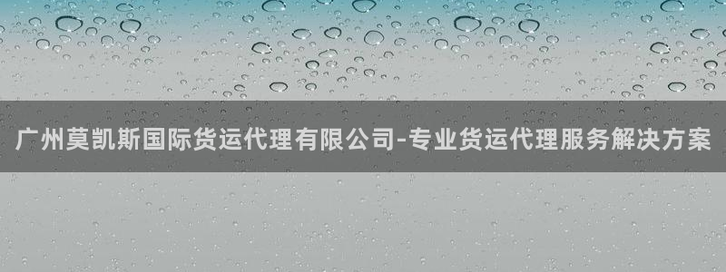 尊龙d88平台：广州莫凯斯国际货运代理有限公司-专业货运