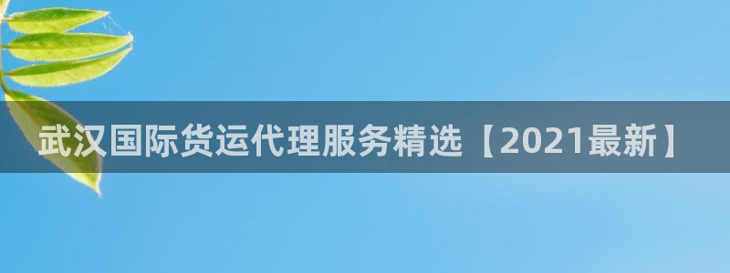 尊龙专访：武汉国际货运代理服务精选【2021最新】