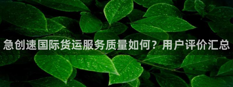 尊龙百度百科：急创速国际货运服务质量如何？用户评价汇总