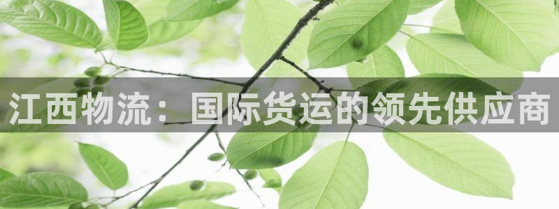 尊龙凯时 人生就是搏!：江西物流：国际货运的领先供应商