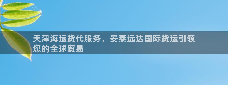 尊龙凯时产品系列：天津海运货代服务，安泰远达国际货运引领