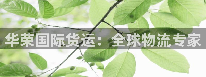 尊龙人生就是博电脑版：华荣国际货运：全球物流专家