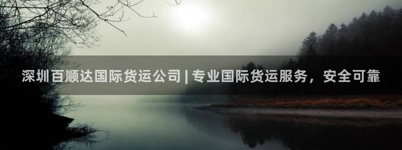 尊龙网站 人生就是博：深圳百顺达国际货运公司 | 专业国