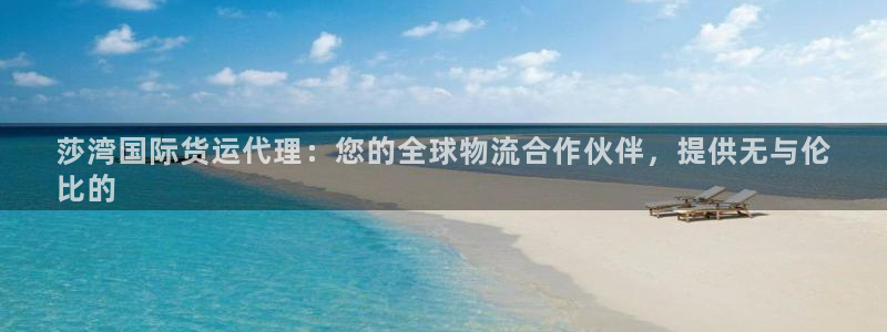 尊龙官网：莎湾国际货运代理：您的全球物流合作伙伴，提供无