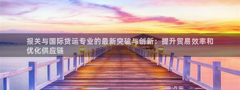 尊龙 6：报关与国际货运专业的最新突破与创新：提升贸易效